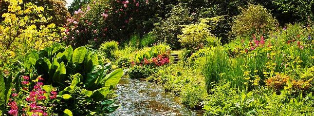 rhs gardens to visit in dorset